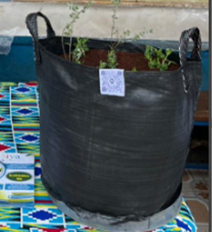 SIYA Eco Grow Bags